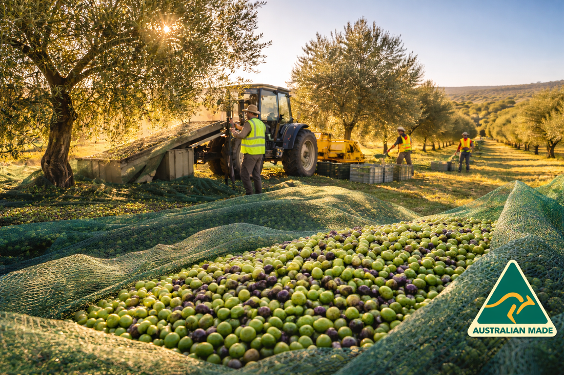 Discover why Australian Extra Virgin Olive Oil is gaining recognition for quality and freshness